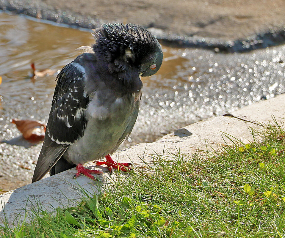 Засмущался... - Светлана Засмущался... - Светлана