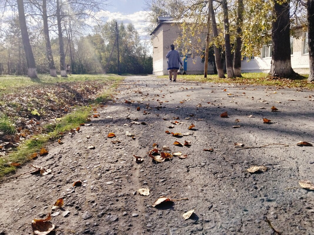 *** - Шу Юншен