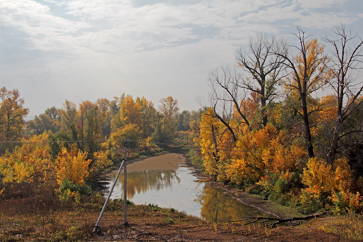 Осенние мотивы - MILAV V