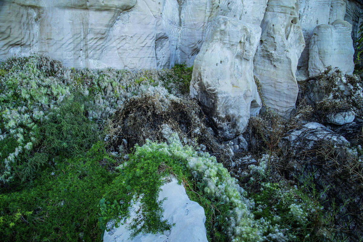 Камни - Анатолий Чикчирный