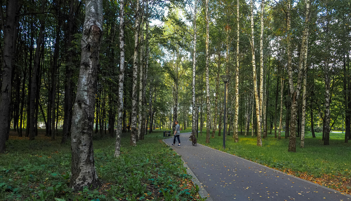 ****** - юрий поляков