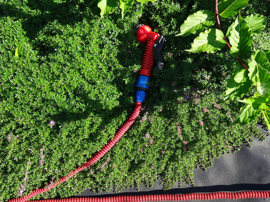 ПОЛИВ ЗАКОНЧЕН - СЕРГЕЙ ФИЛОЧКИН