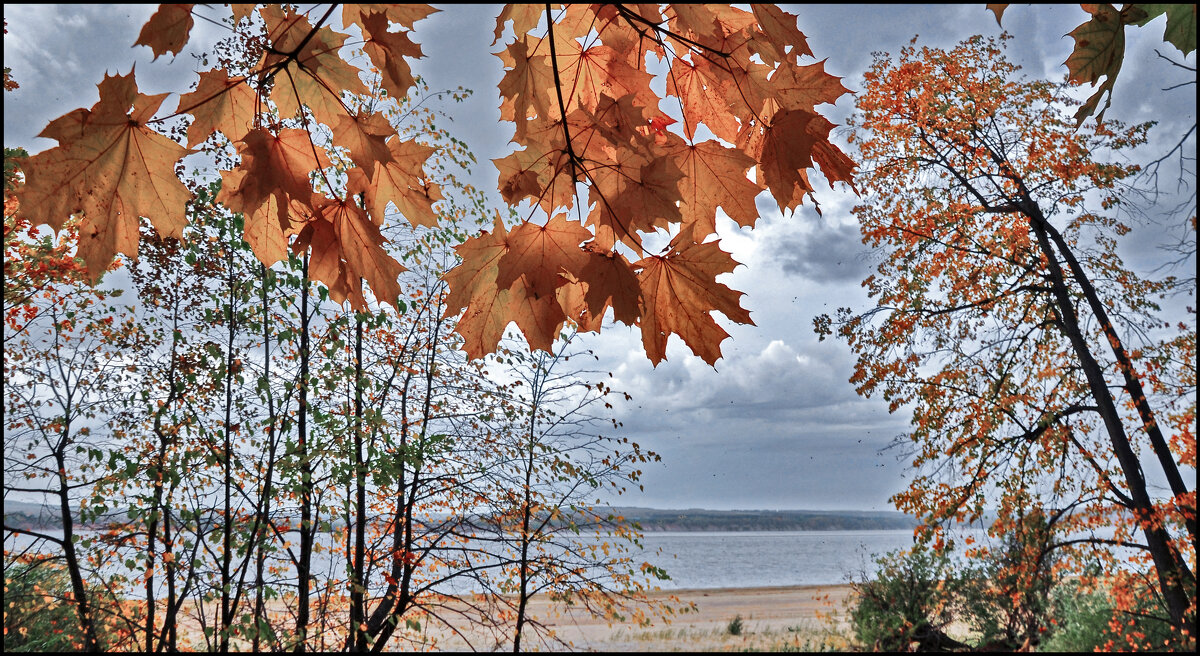 Осень - **** vedin