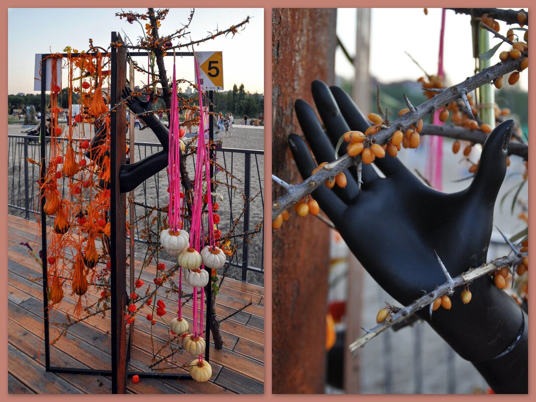 Флористические композиции на фестивале садов и цветов - Татьяна Машошина Флористические композиции на фестивале садов и цветов - Татьяна Машошина