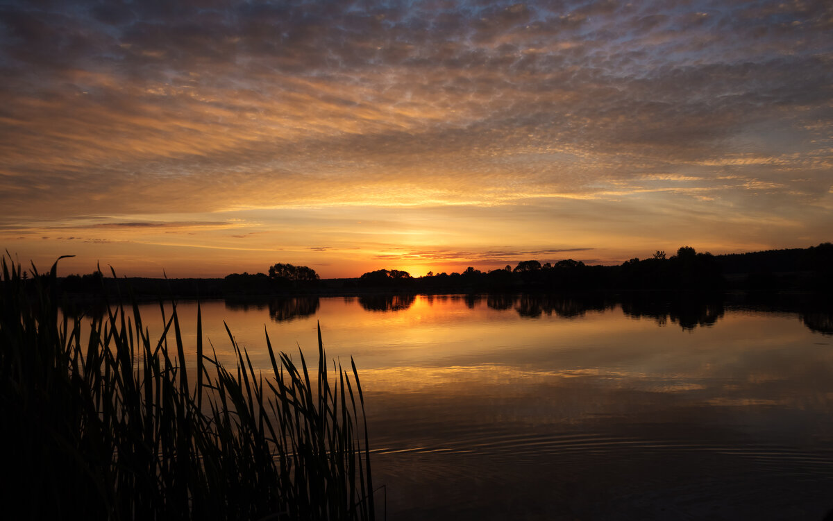 *** - Владимир Безбородов *** - Владимир Безбородов
