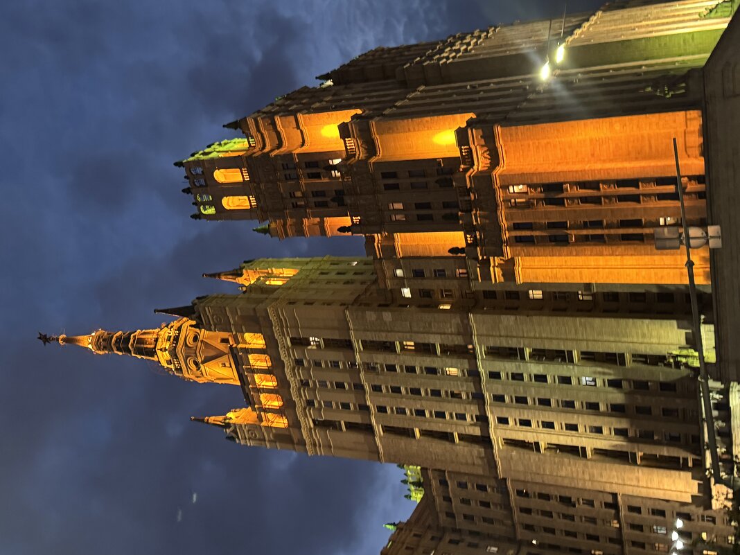 наш Хогарт )) - Анна Камс