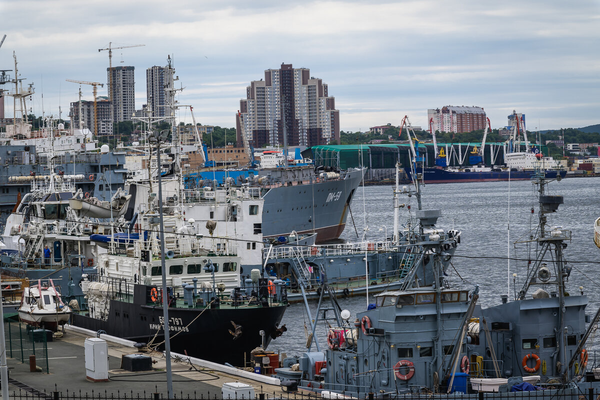 ... - Жора Житников