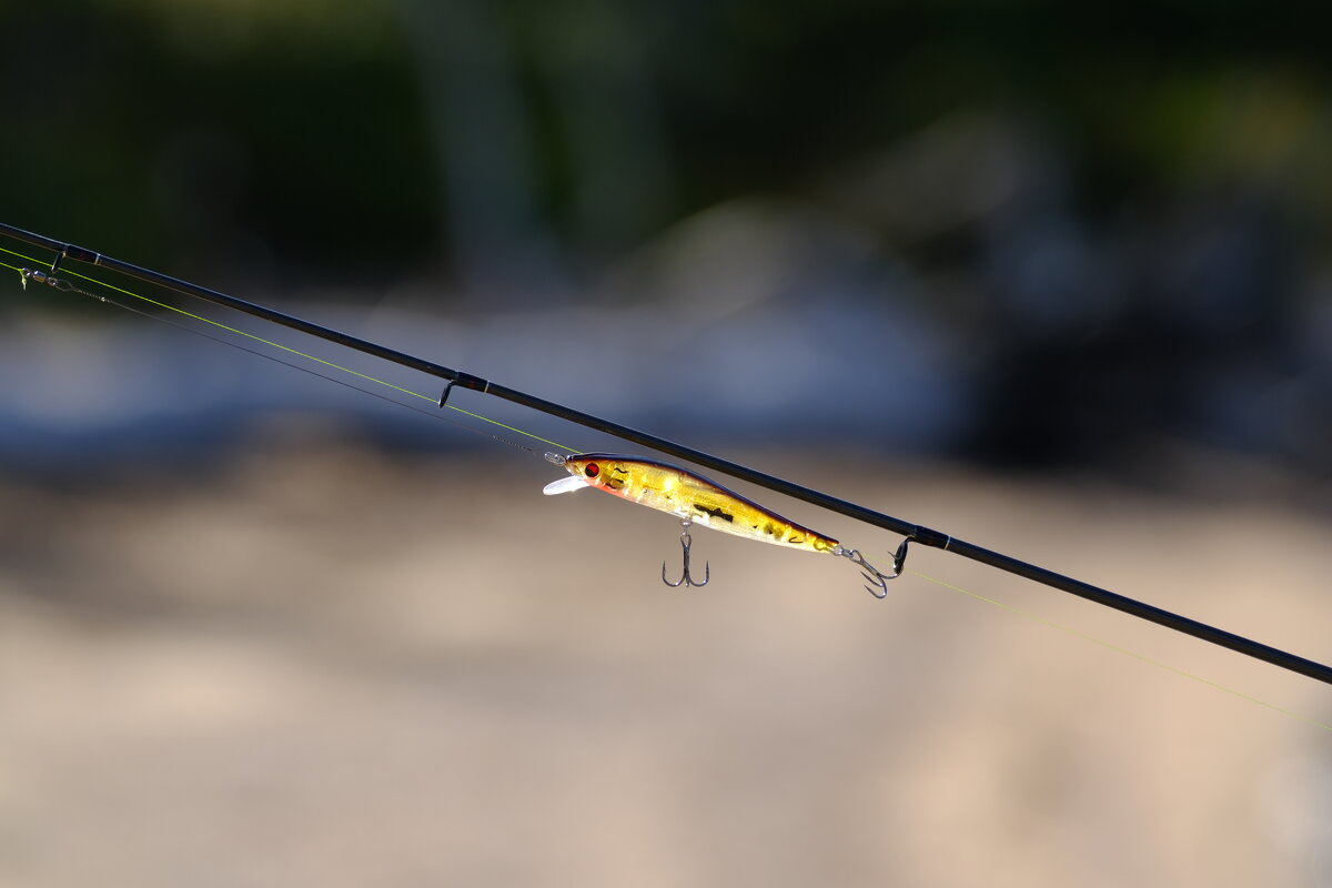 Воблер - Андрей Зайцев