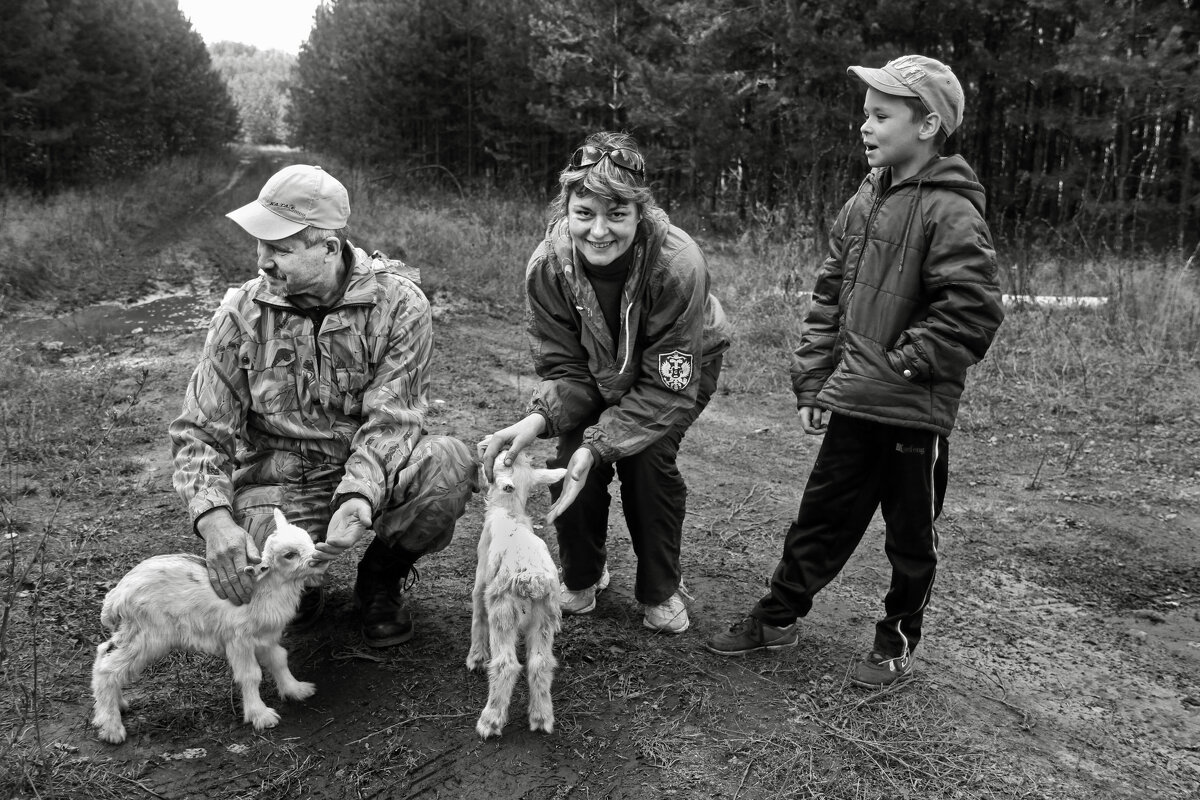 Встреча в лесу - СЮ 