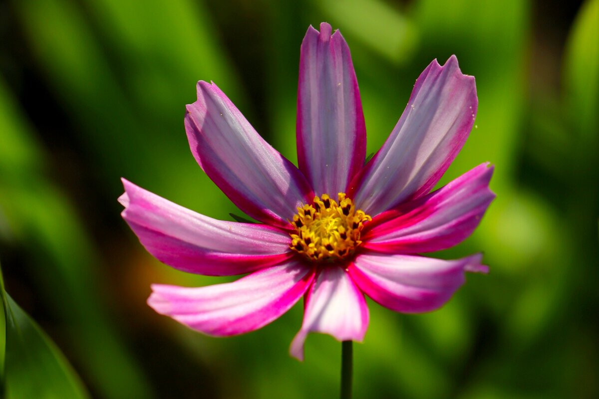 Доброе утро - Юрий. Шмаков Доброе утро - Юрий. Шмаков