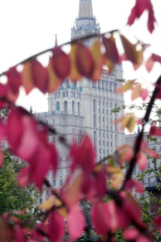 Зоопарк в сентябре - Михаил Бибичков