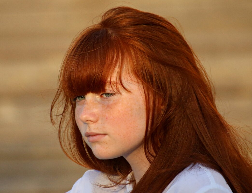 Рыжик - Владимир59 