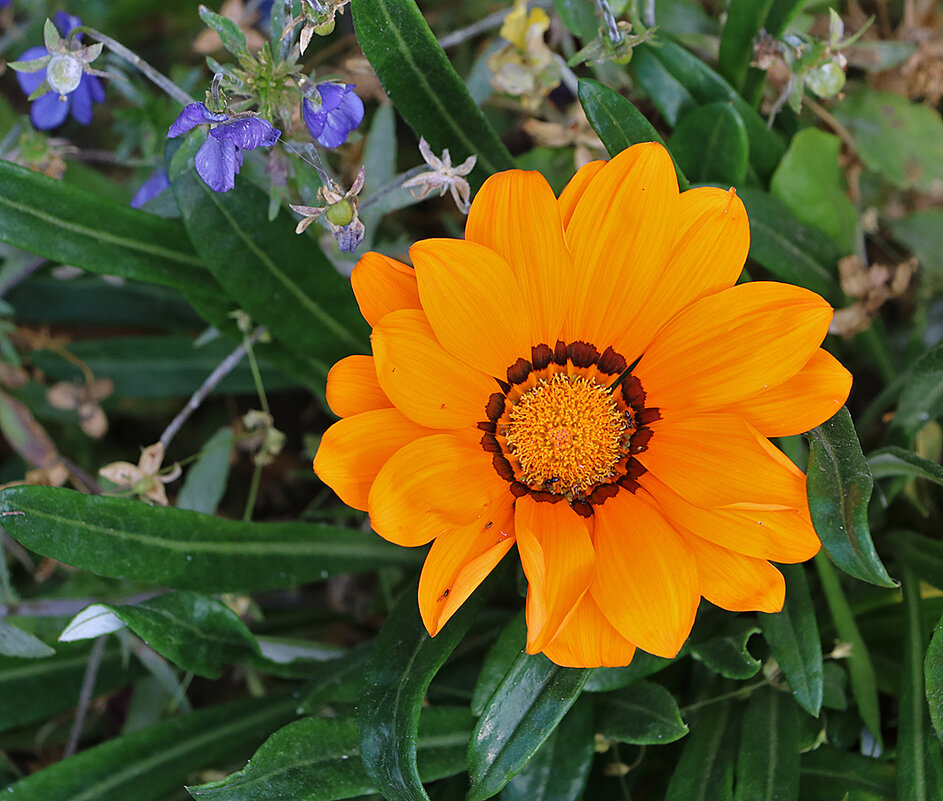 Гацания - Светлана 