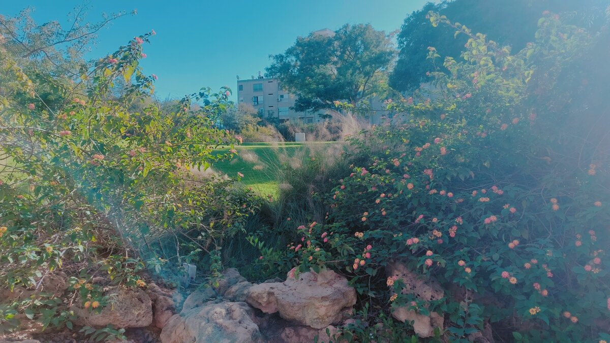 13  ОПЕН (372) - OPEN WAYS ALL