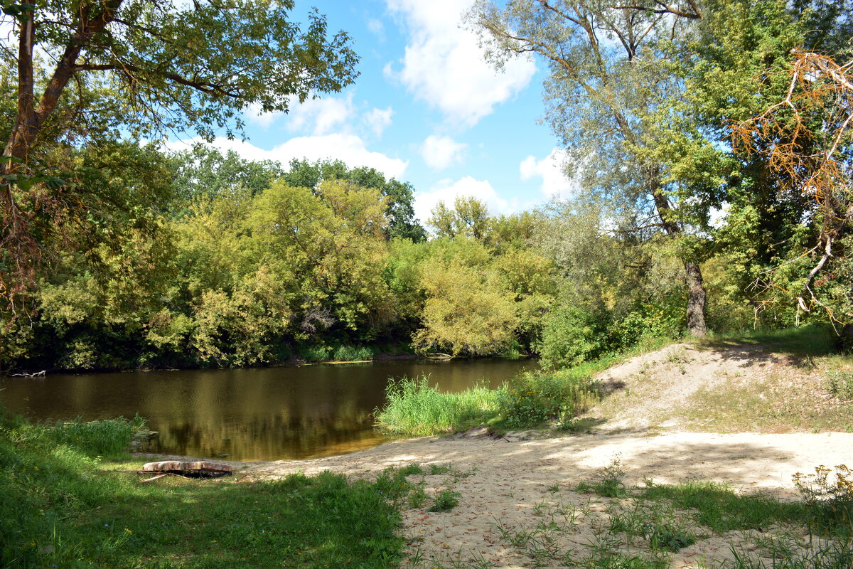 Сельский пляж - Леонид Иванчук