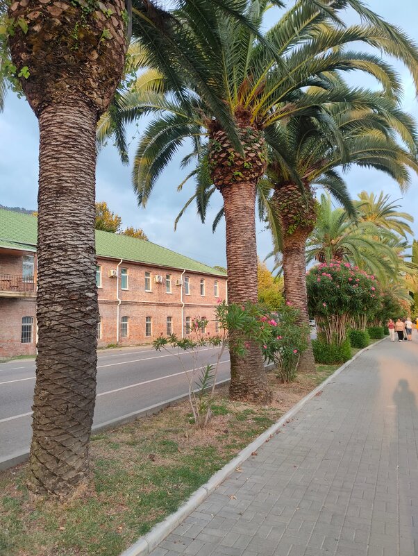 В Новом Афоне - Ирэн 