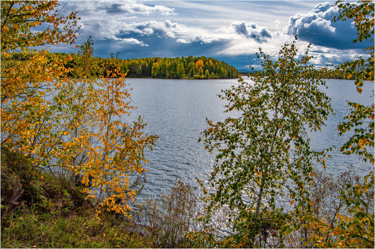 *** - Алексей Мезенцев