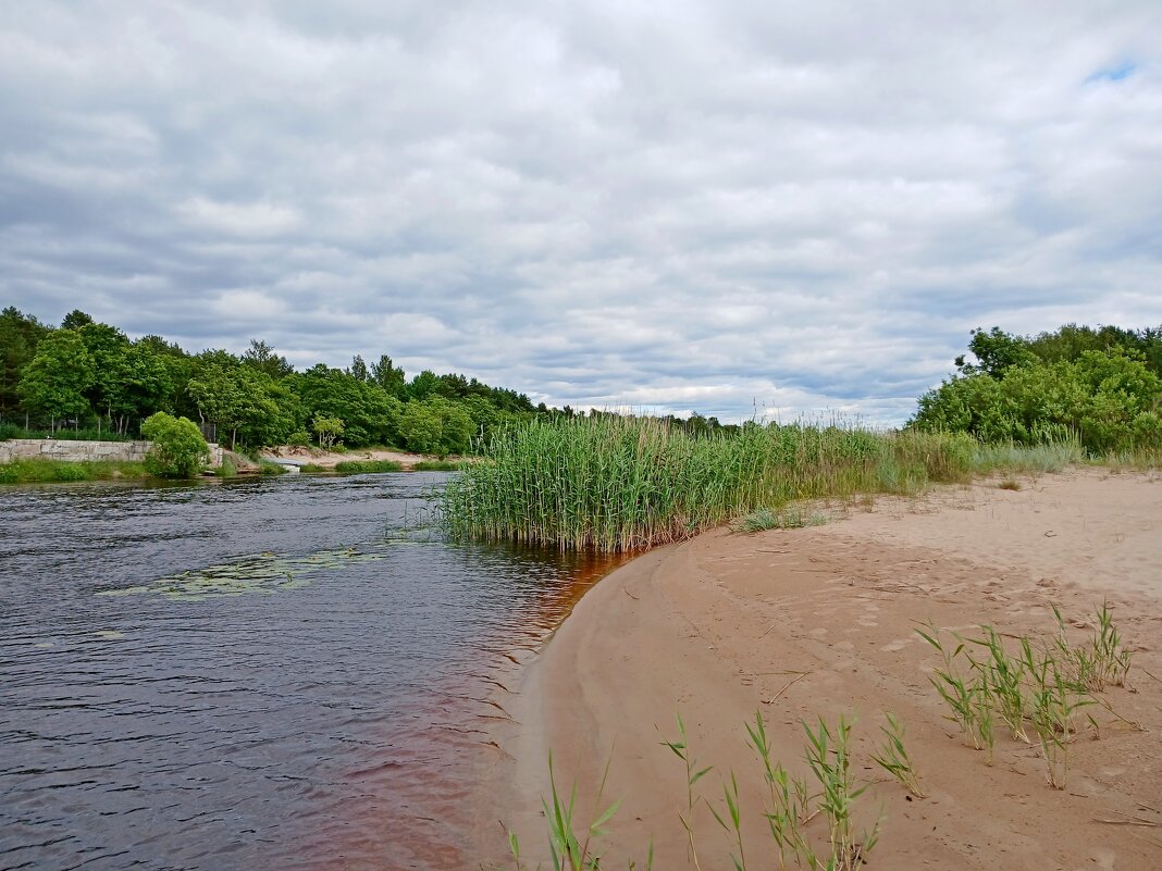 На берегу реки. - Лия ☼ На берегу реки. - Лия ☼