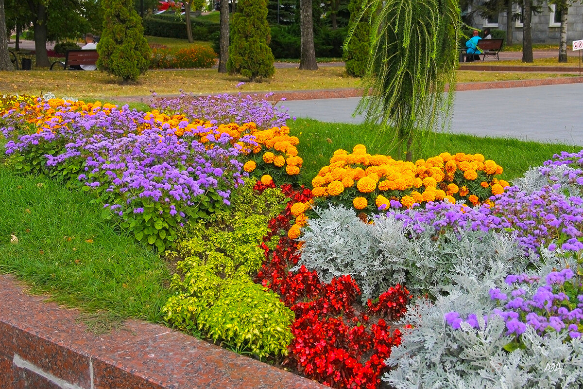 *** - Роланд Дубровский