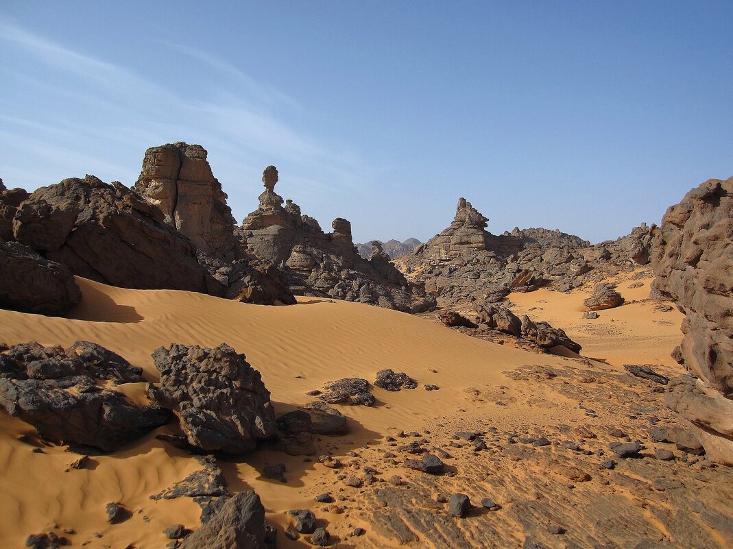 Чудесный кусочек ливийской Сахары. - unix (Илья Утропов)