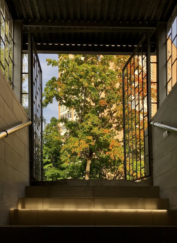 Проход в Бабье лето) - Любовь 