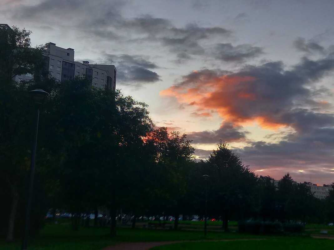 Закат - Сапсан 