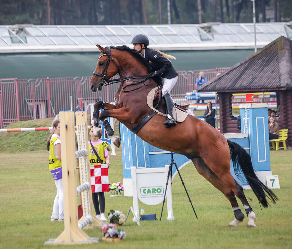 Конкур - Анатолий Шумилин