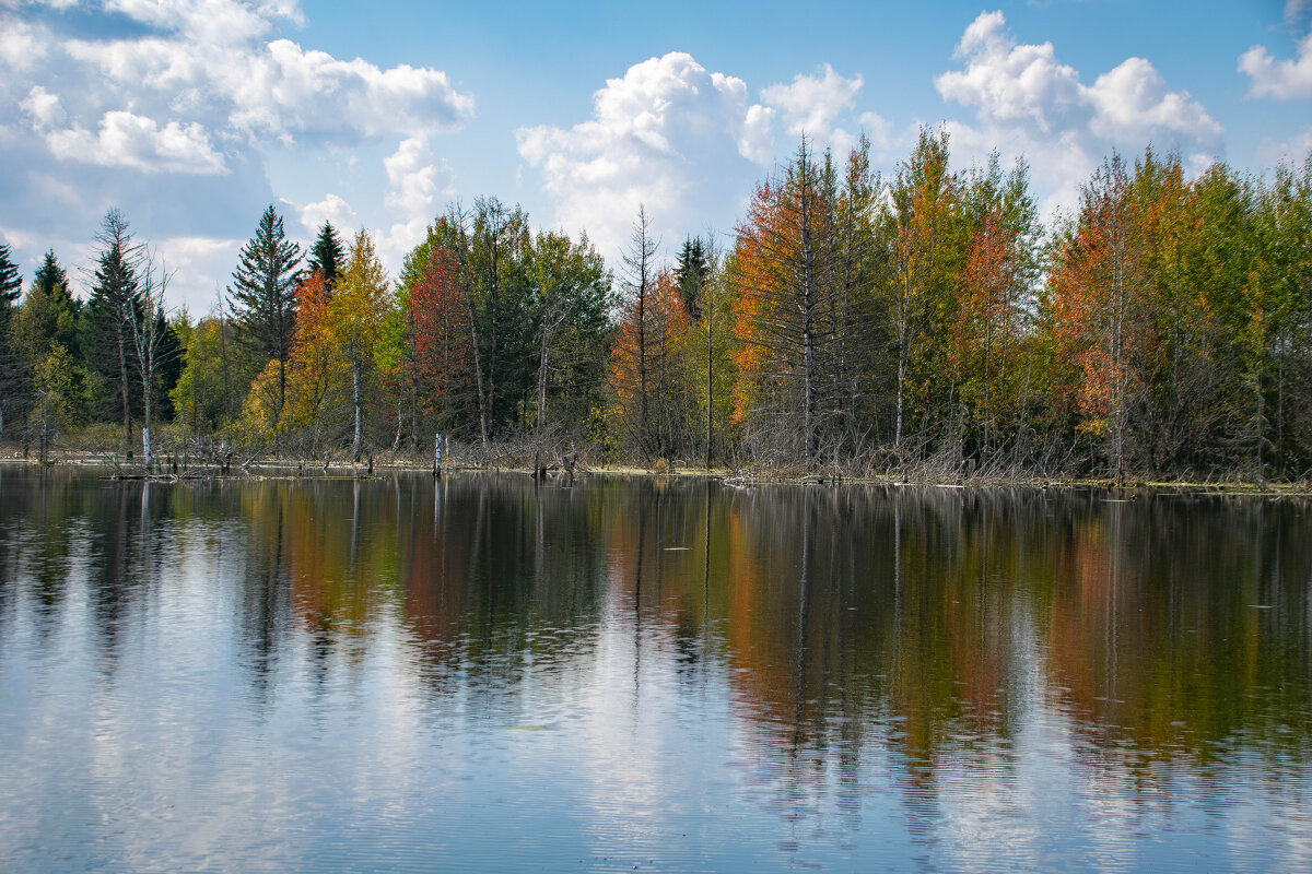 - - Владимир Мигонькин
