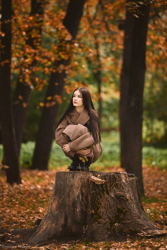 Девушка в парке - Александр Морозов