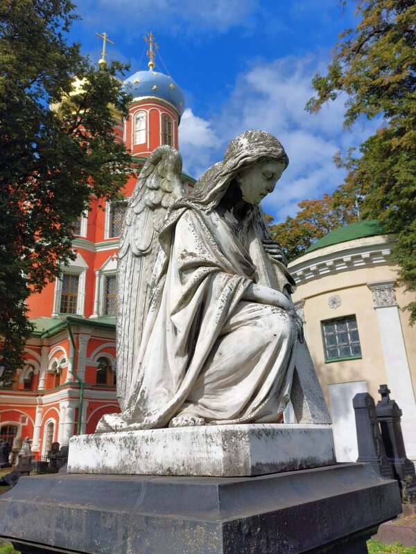 Донской монастырь - Константин Анисимов