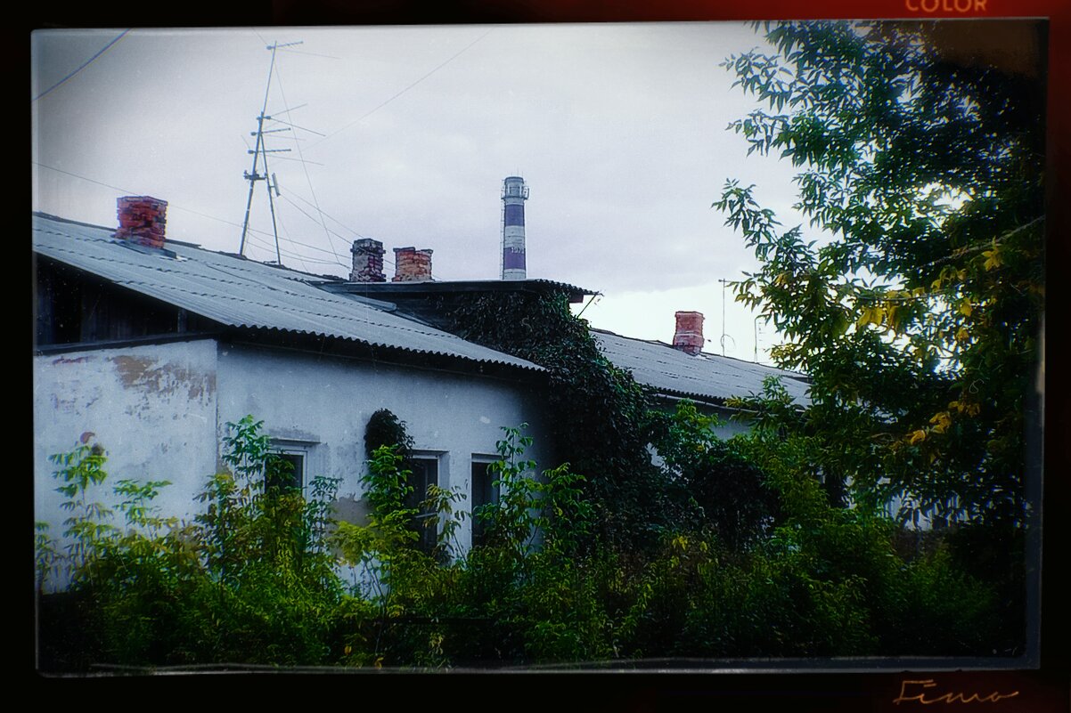 Лето прячется в чердаке. - Игорь Солдаткин