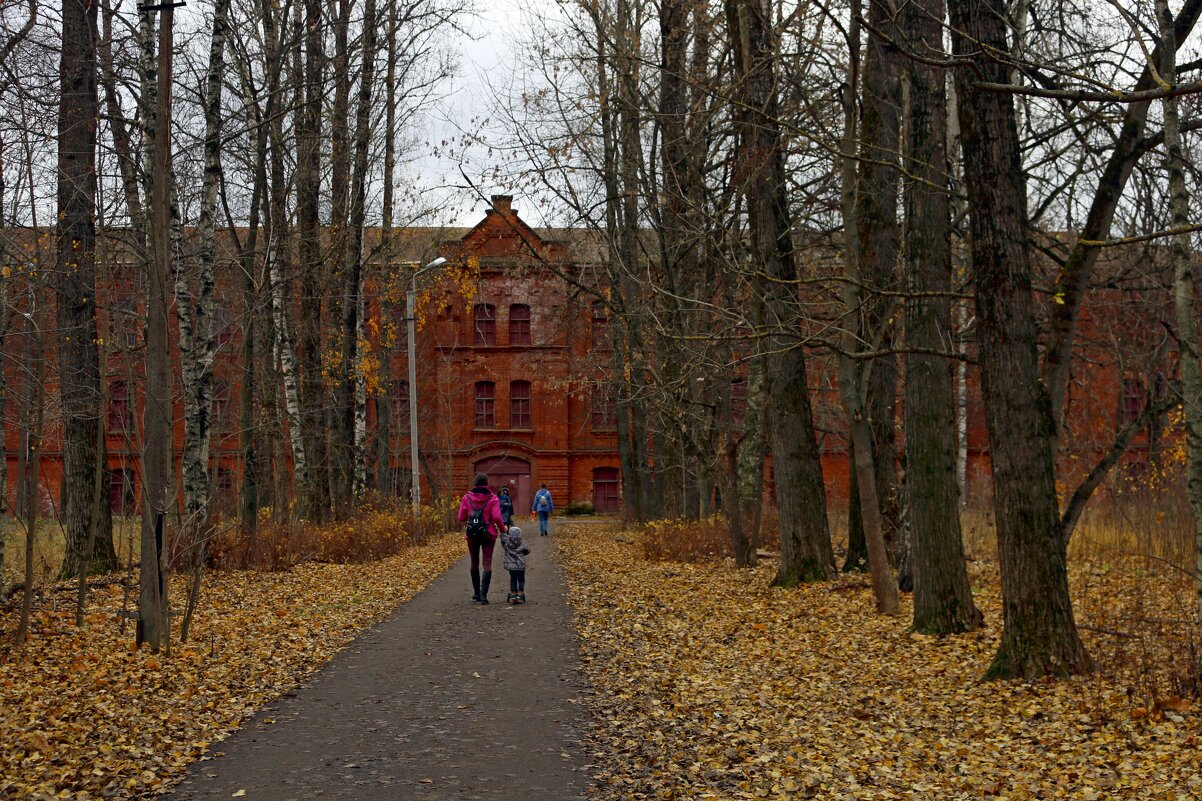 Осенние аллеи - Ольга 