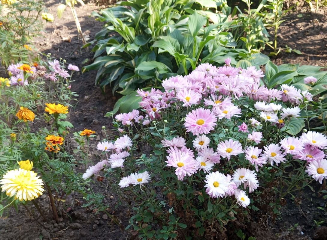 Осеннее - Елена Семигина