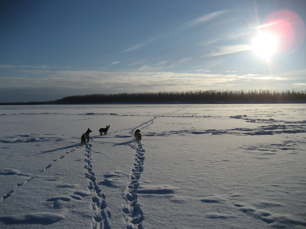 Через протоку на остров - Anna Ivanova Через протоку на остров - Anna Ivanova