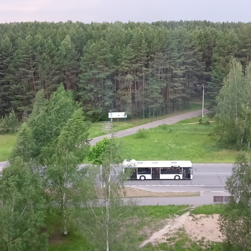 природа - Владимир 