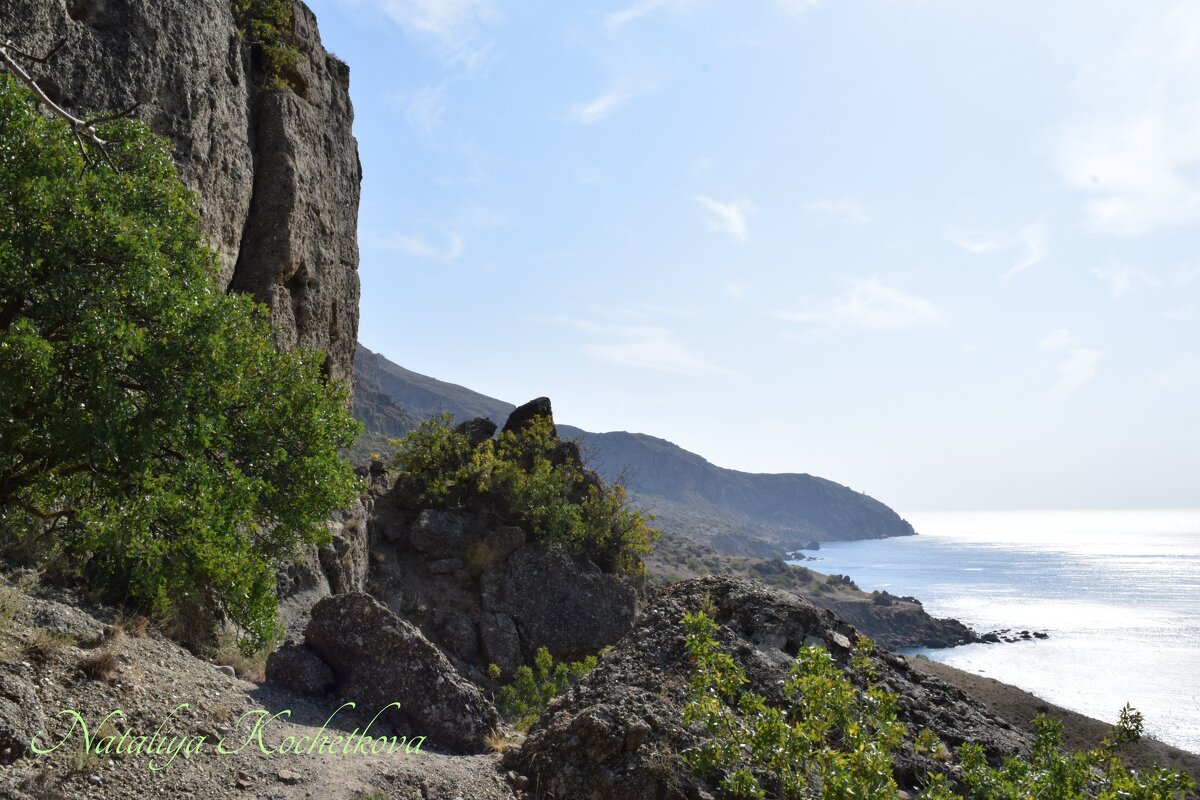 Природа Крыма - Amazing Cosmea