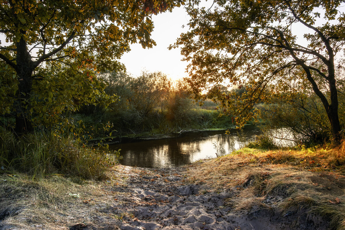 *** - Игорь Чичиль