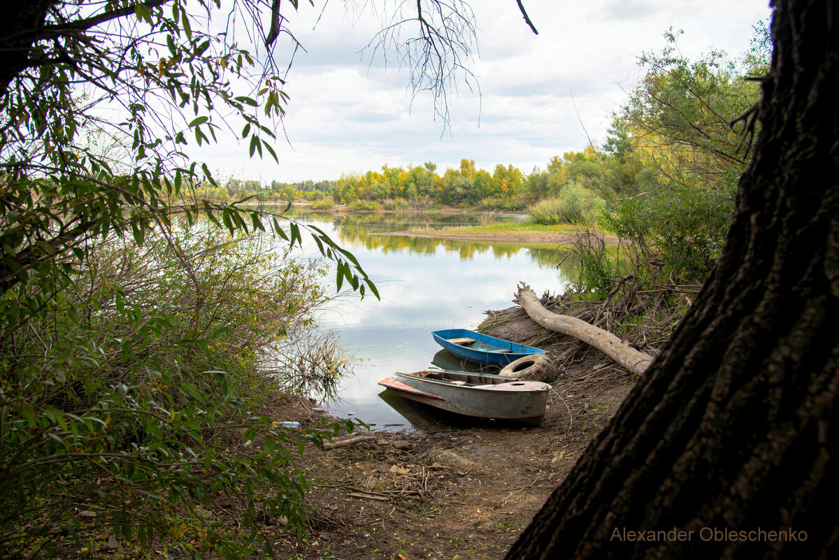 Уральск, Западный Казахстан, сентябрь в затоне имени Чапаева на реке Урал - Александр Облещенко