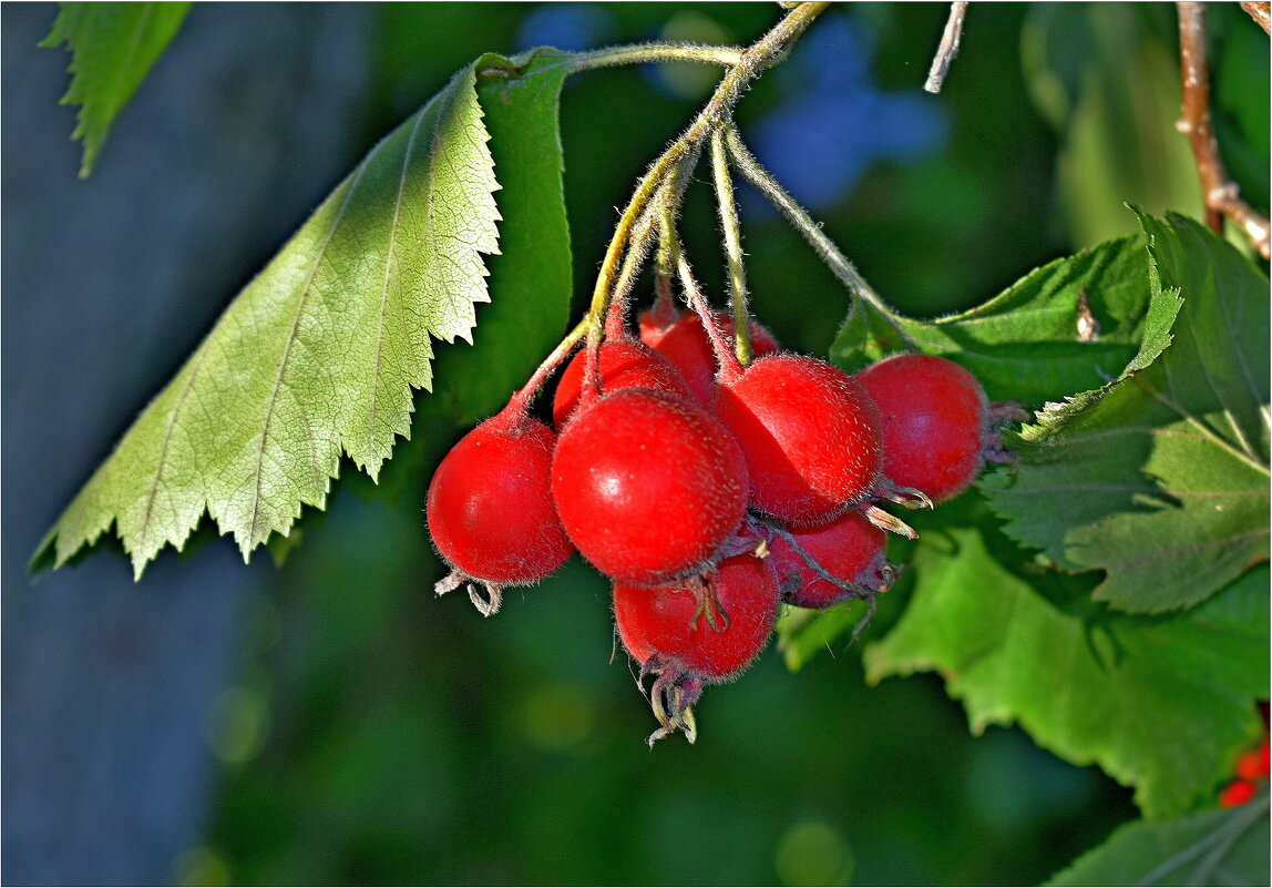 ЭТЮД - Юрий Владимирович 34