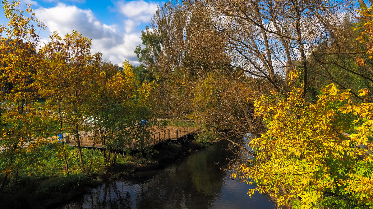 ***** - юрий поляков
