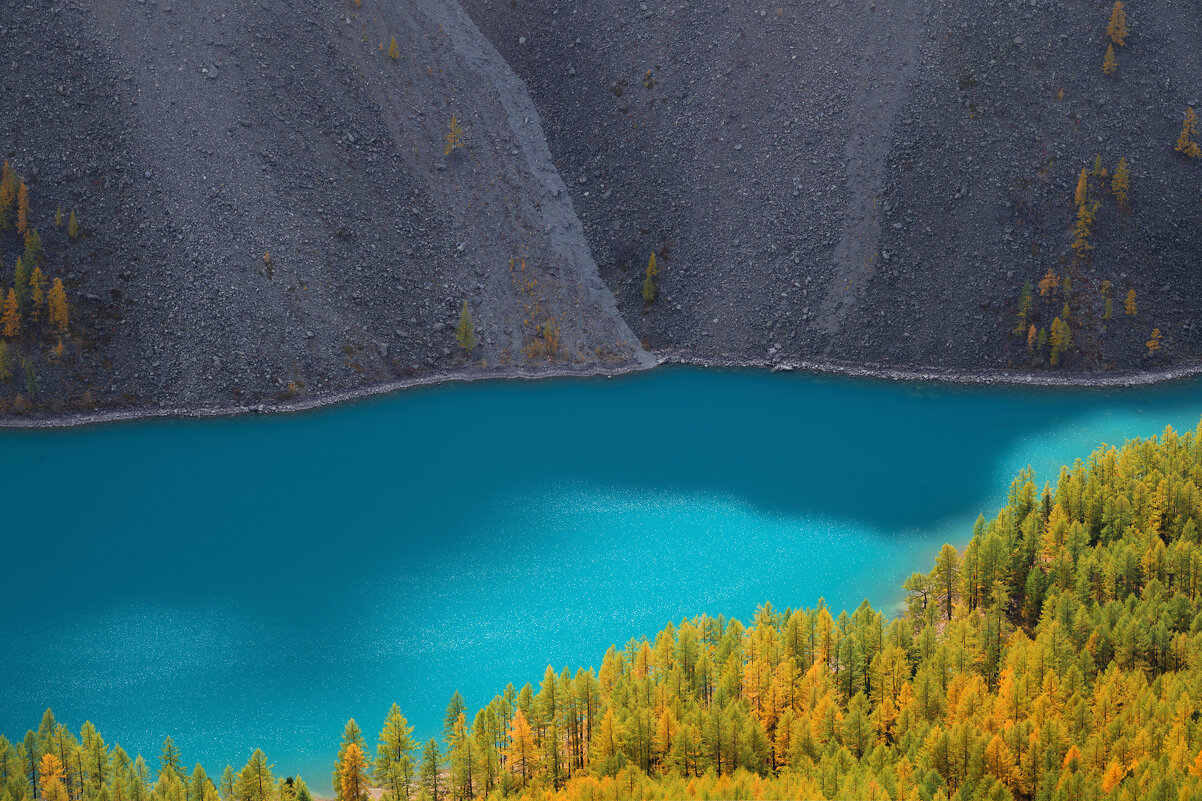 * - Александр Иванов