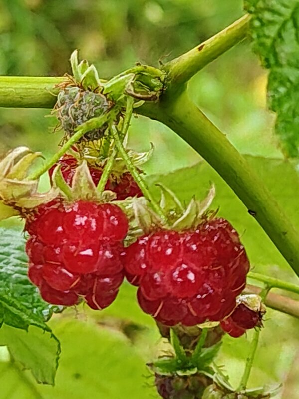 Заблудились в сентябре - Андрей 
