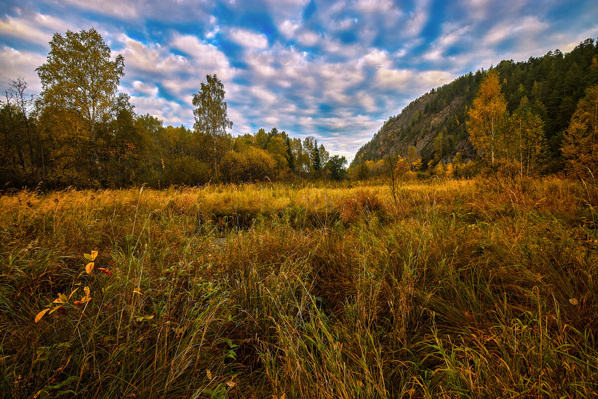 Тихое утро сентября. - Юрий кот