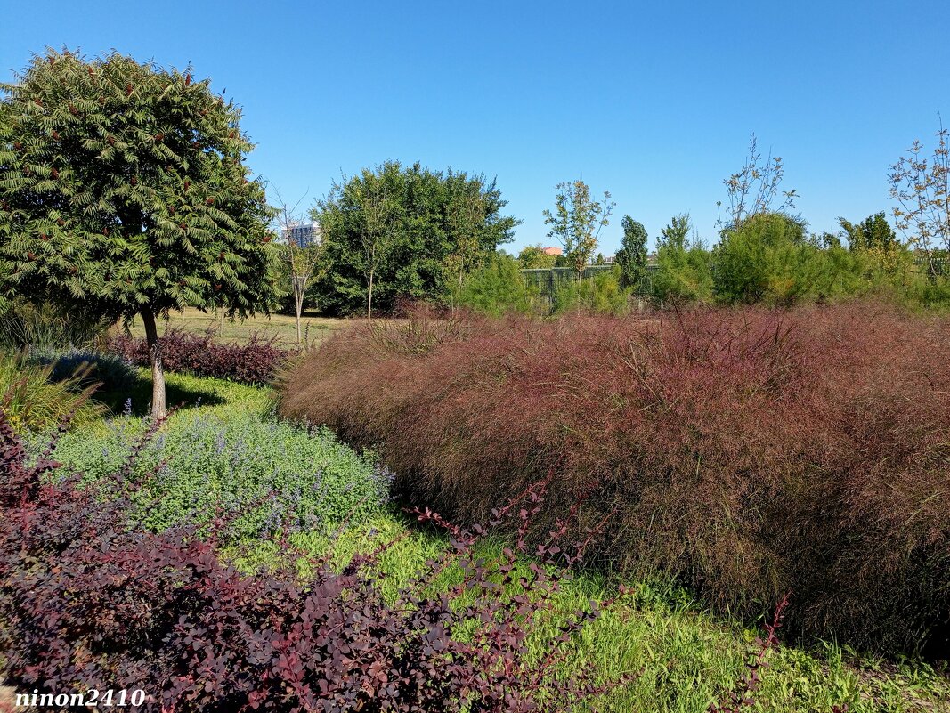 В ростовском экопарке Первая миля - Нина Бутко