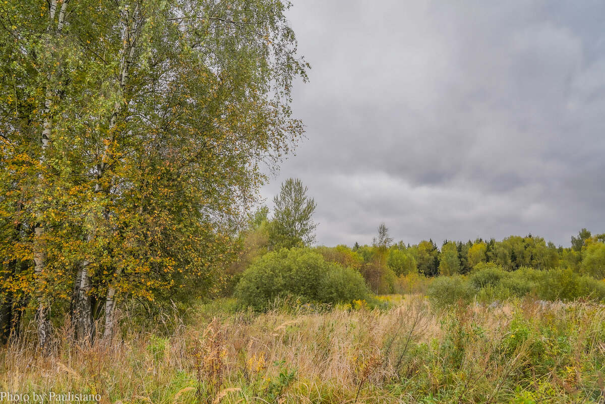 На опушке... - Владимир Жданов