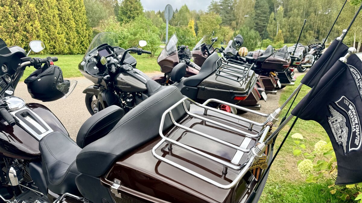 «Опять скрипит потертое седло…» - Арина Невская «Опять скрипит потертое седло…» - Арина Невская