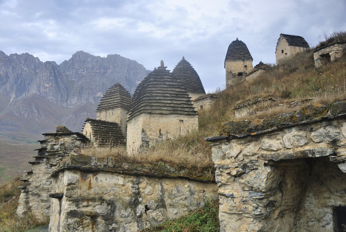 Город мертвых - Марина Виноградова