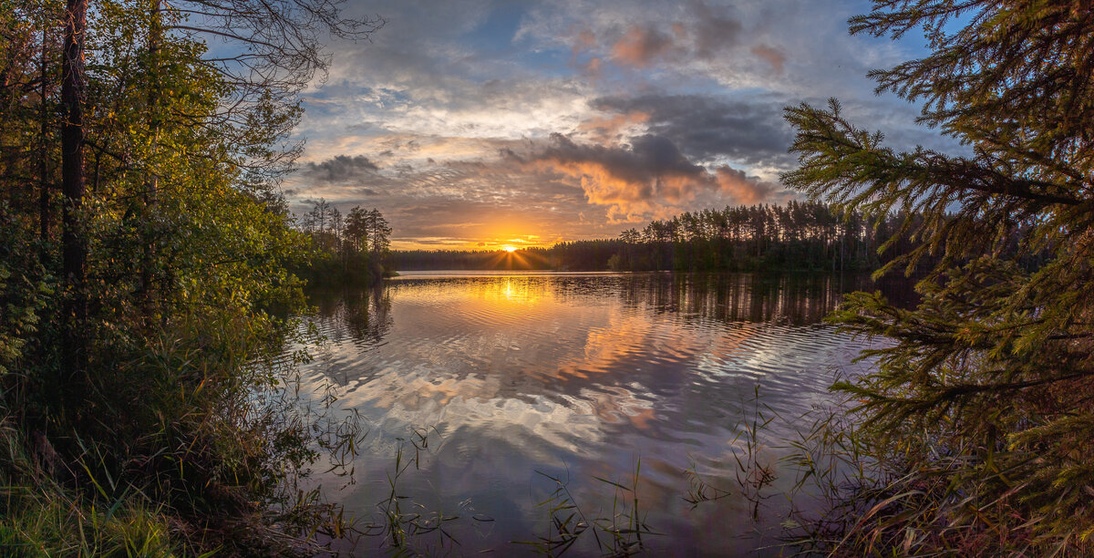**** - Елизавета .