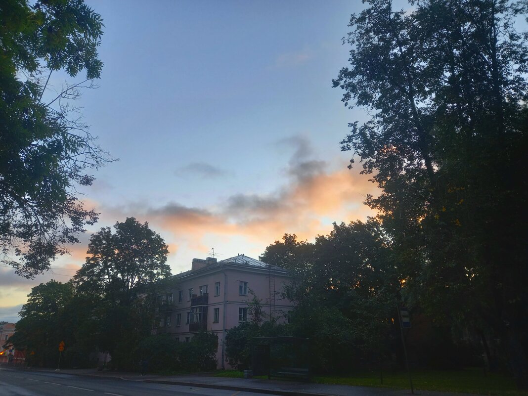 Рассвет - Сапсан 