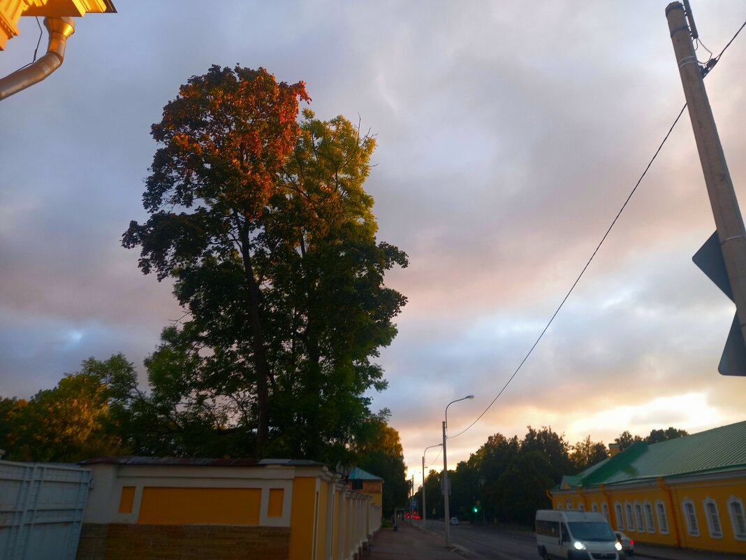 Рассвет - Сапсан 